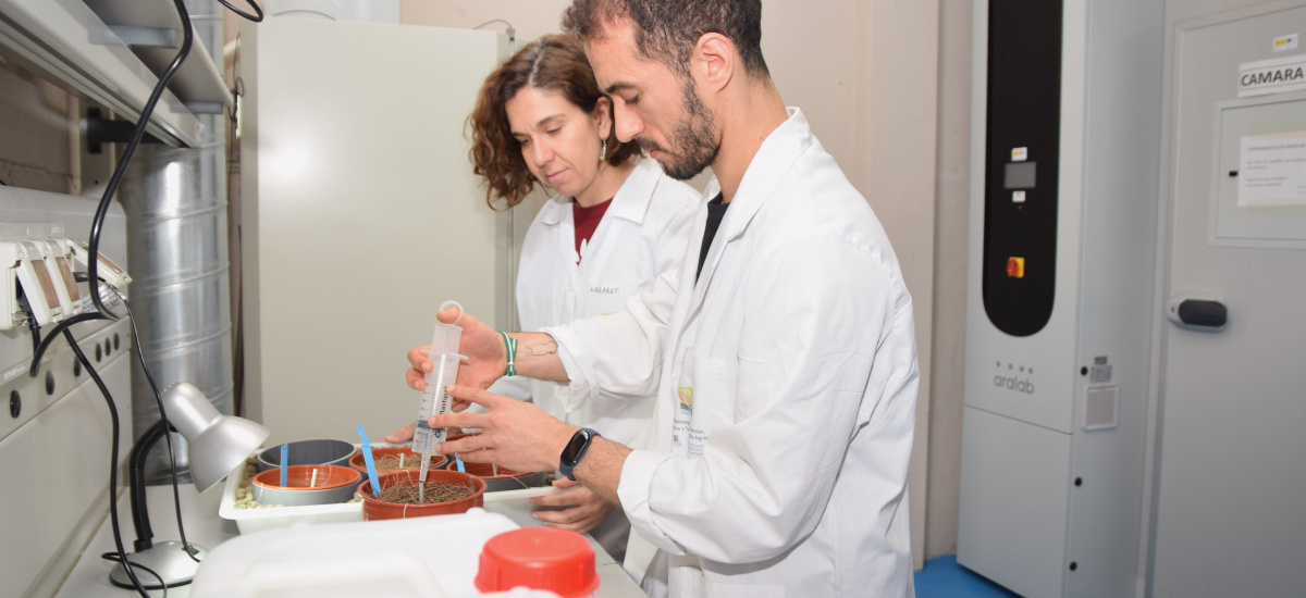 Imagen La UPCT logró siete  contratos postdoctorales en el Instituto de Biotecnología Vegetal en el último año